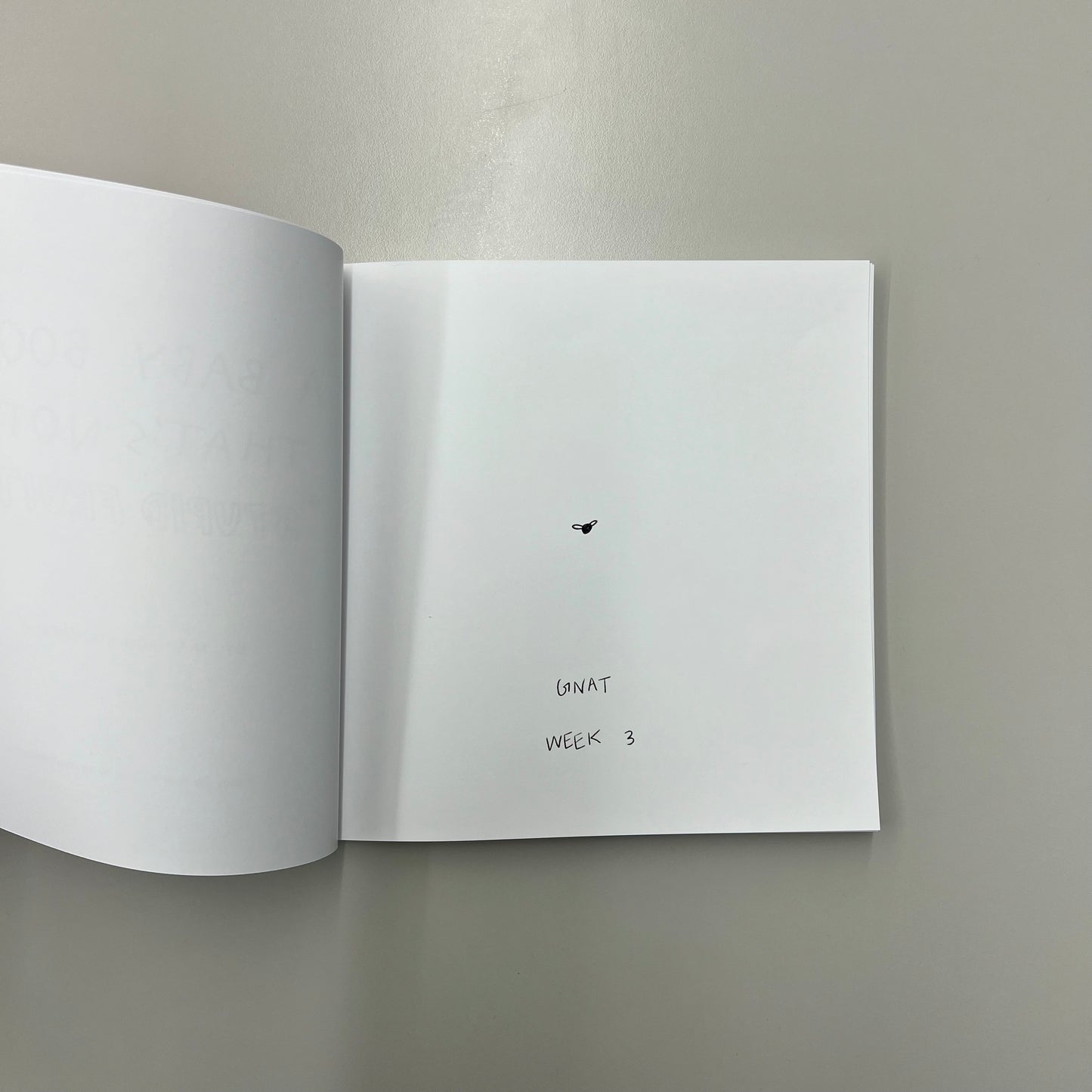 A Baby Size Book that’s not “Stupid Fruit”