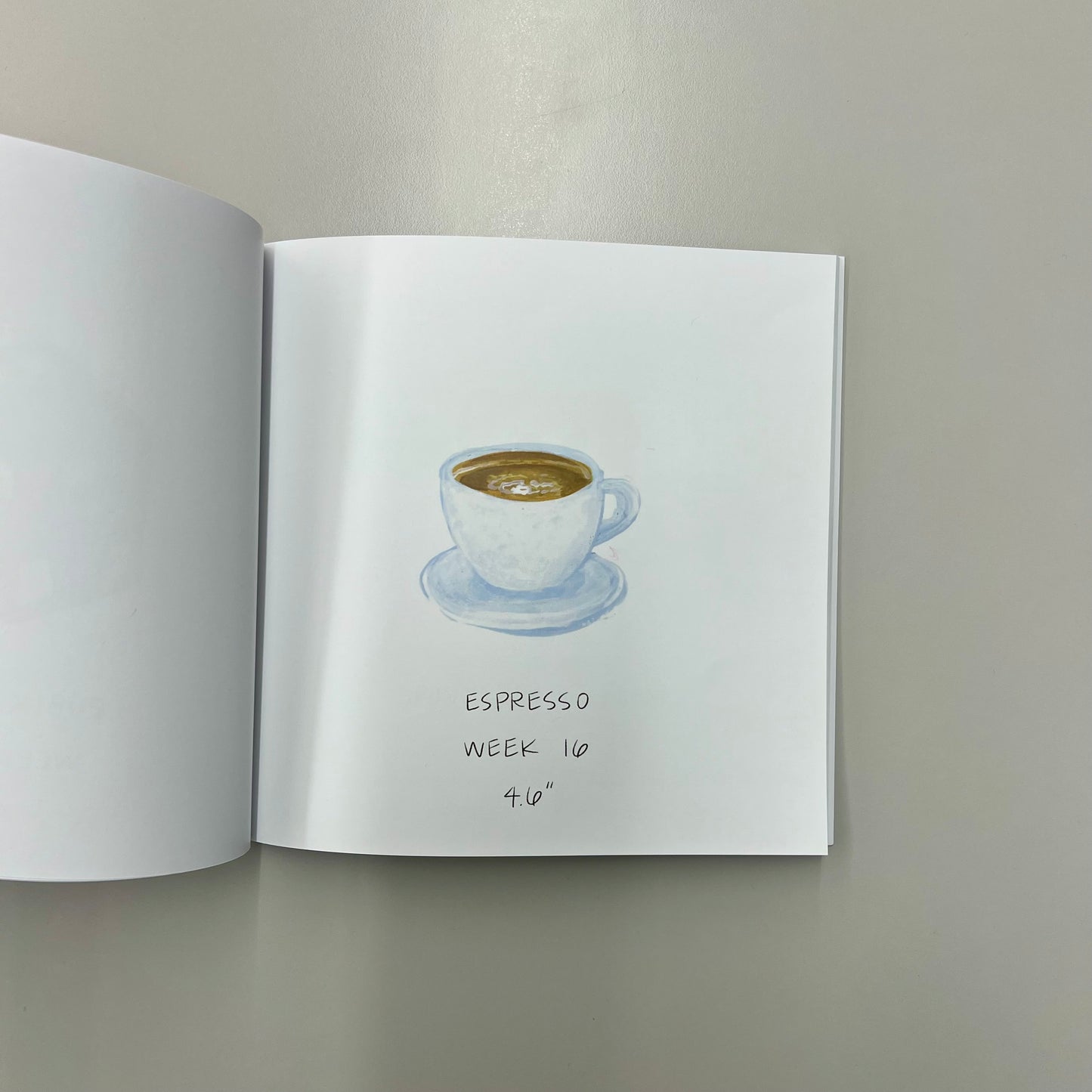 A Baby Size Book that’s not “Stupid Fruit”