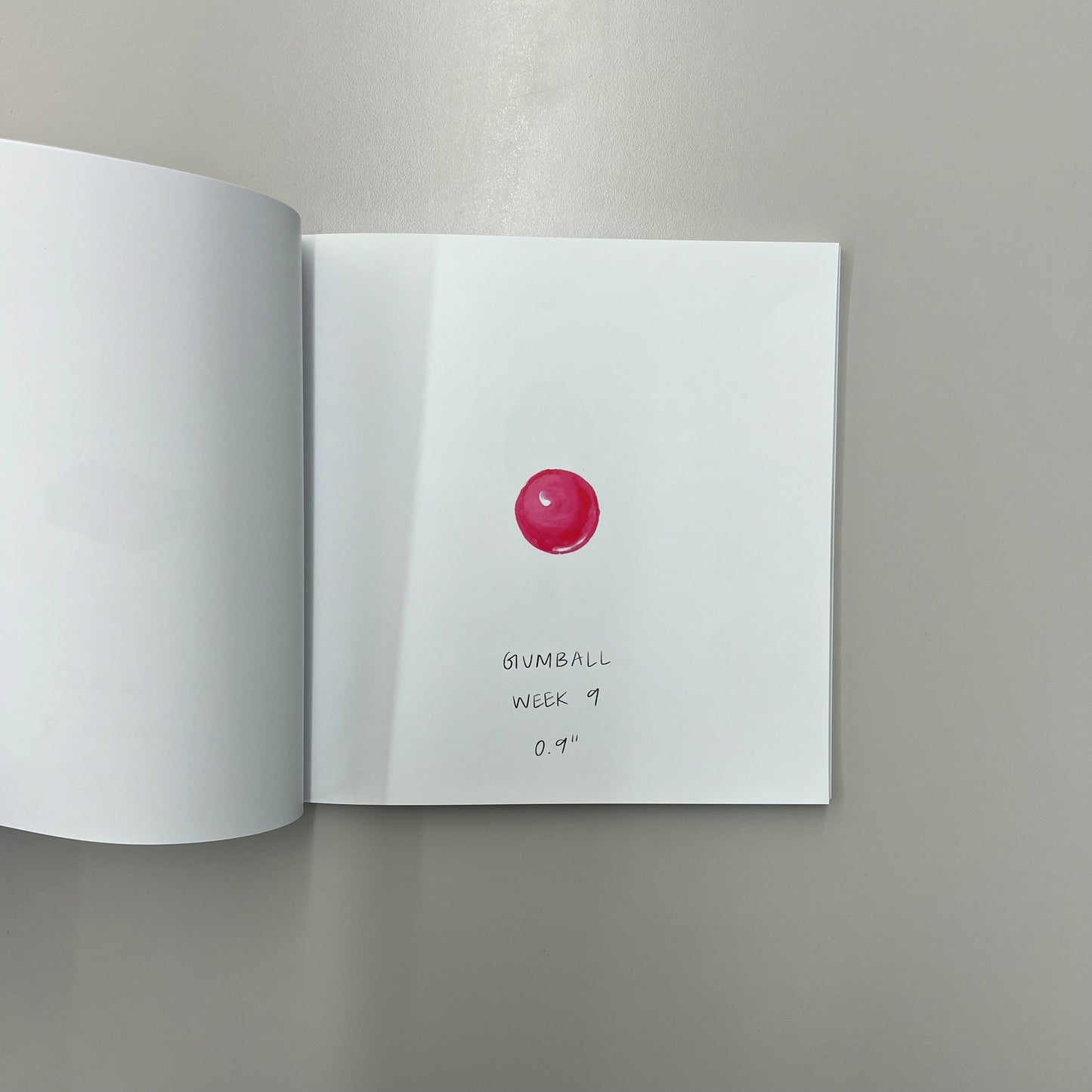 A Baby Size Book that’s not “Stupid Fruit”